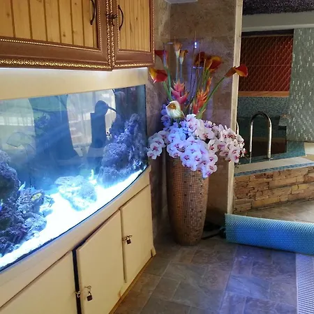 In Sweet Homes 3 * 阳光海滩
